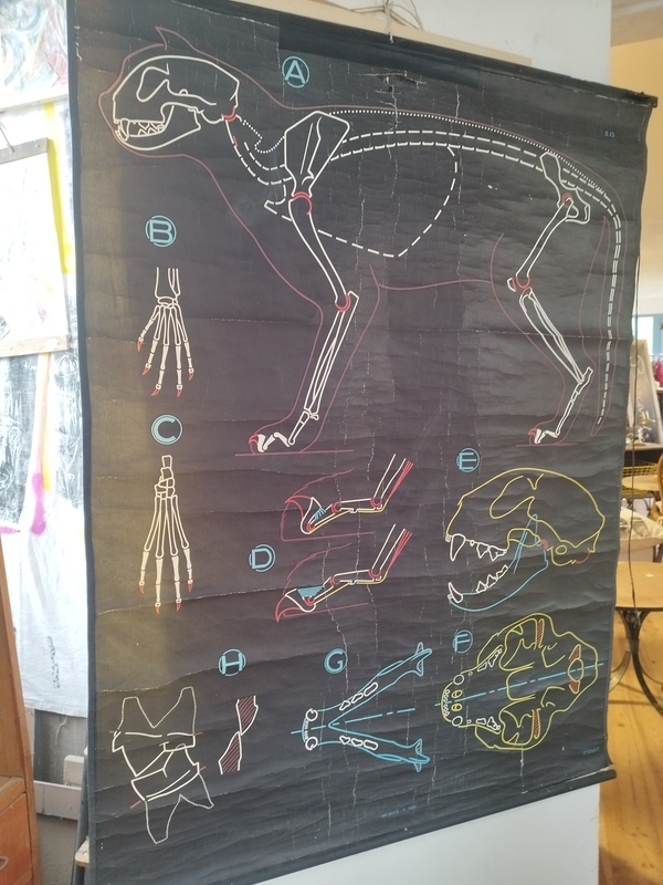 Affiches P. Sougy Docteur Auzoux années 50 