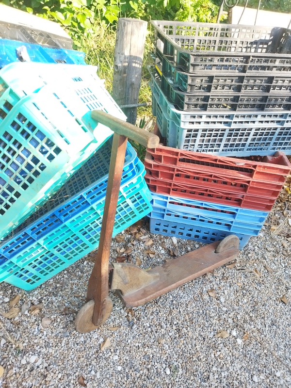 Ancienne trottinette enfant