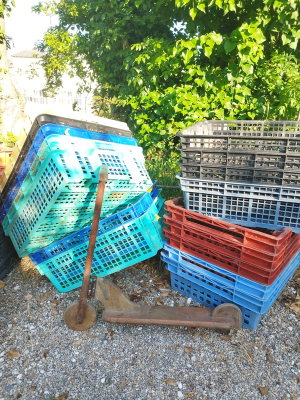 Ancienne trottinette enfant