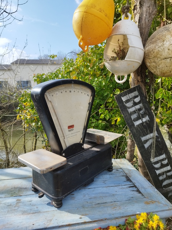 Balance épicier 50's Testut 