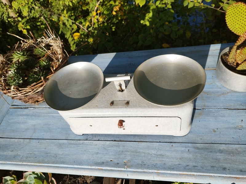 Balance Orix émaillée