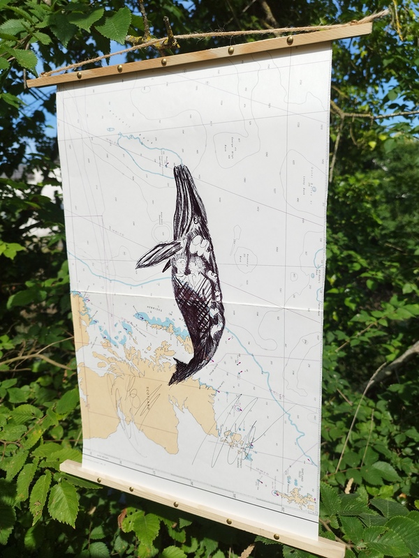 Bic sur cartes marines anciennes Tommy Bim