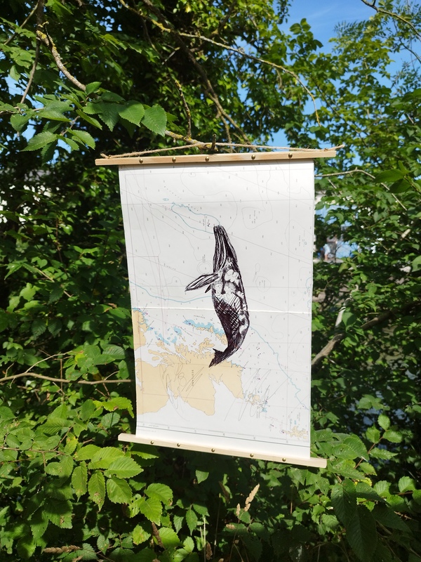 Bic sur cartes marines anciennes Tommy Bim