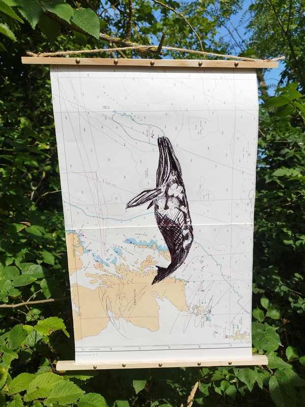 Bic sur cartes marines anciennes Tommy Bim