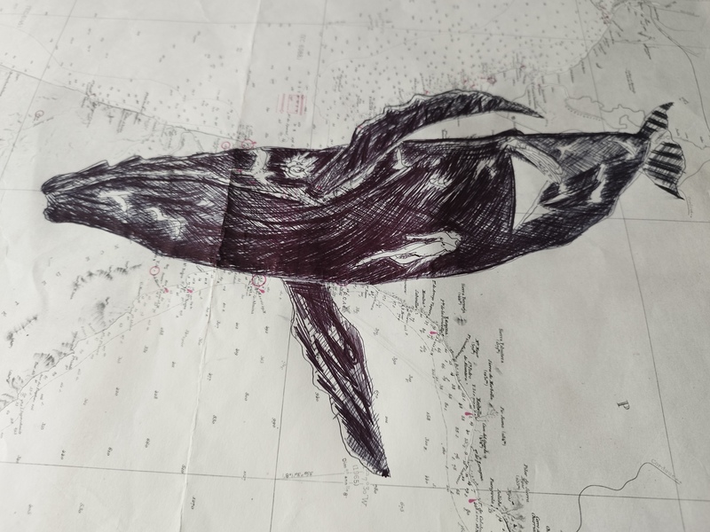 Bic sur cartes marines anciennes Tommy Bim