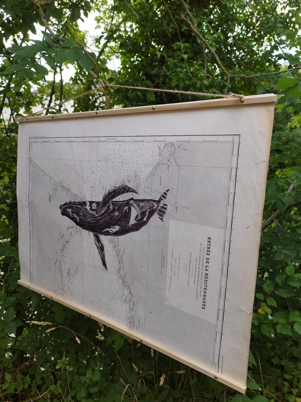 Bic sur cartes marines anciennes Tommy Bim