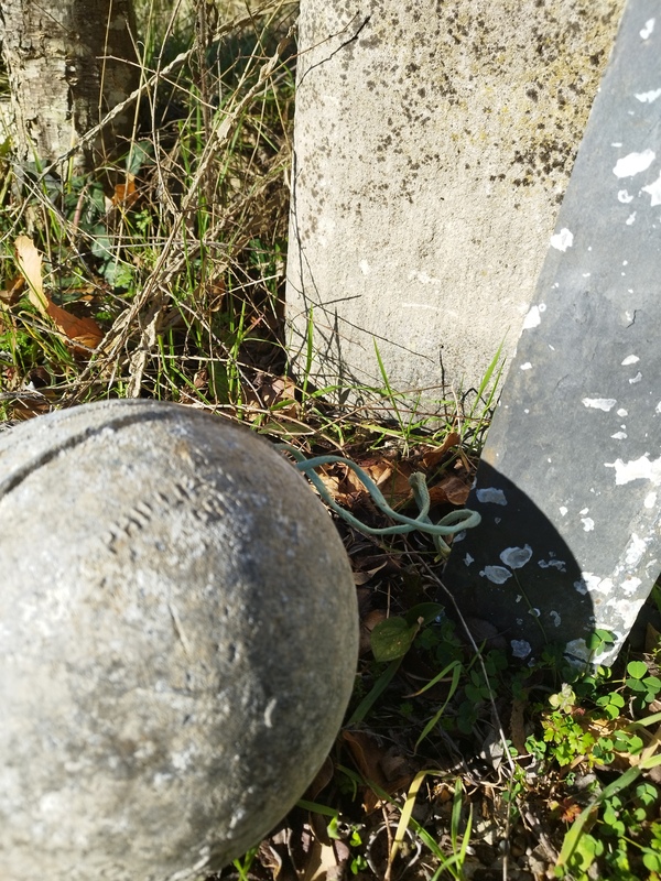 Bouée en métal Philips