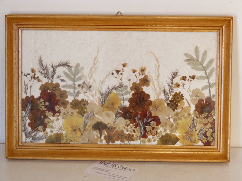 Cadre fleurs séchées - Brocante en ligne