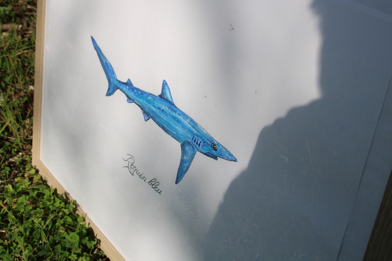 Cadre naturaliste 2024 