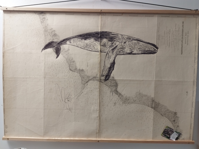 Cartes marines Tommy Bim