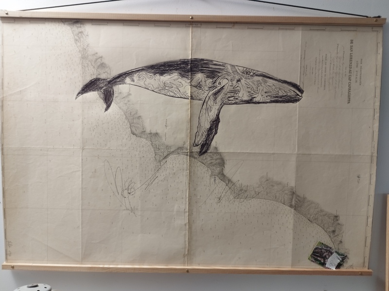 Cartes marines Tommy Bim