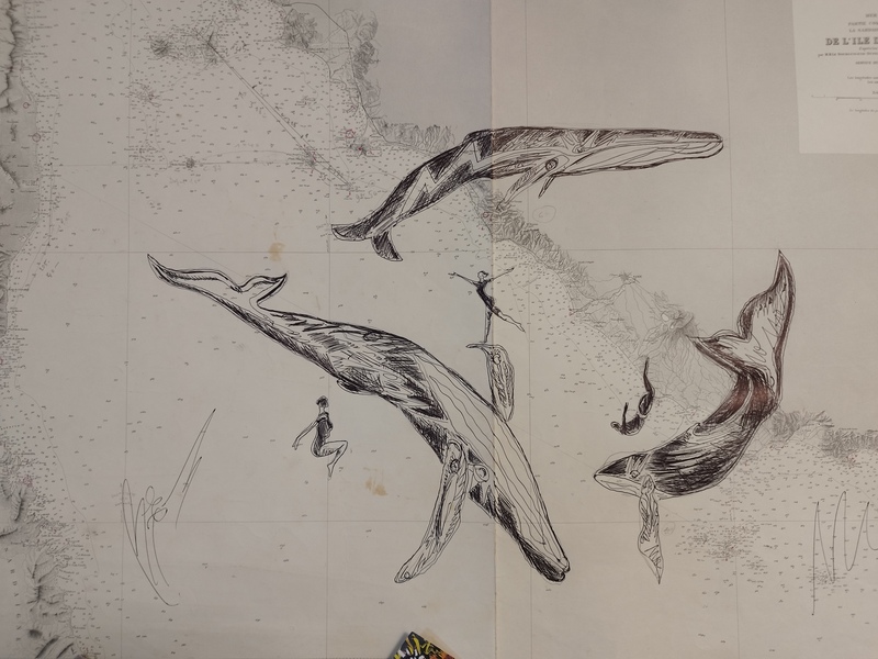 Cartes marines Tommy Bim