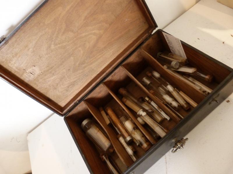 Collection entomologique des années 40 