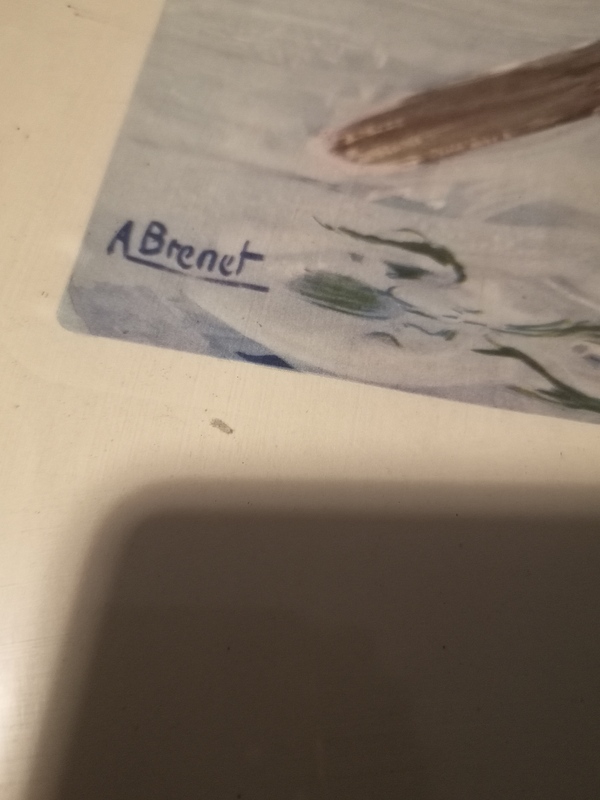 Compagnie maritime des Chargeurs Réunis, Paquebot 