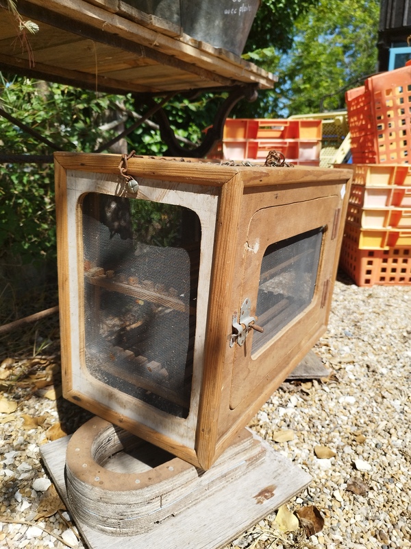 Garde manger ancien bois 