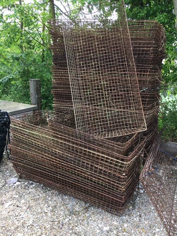 Grandes manes de pousses en claire 