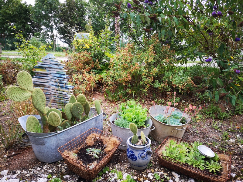 Jardin rien de neuf 0 plastique