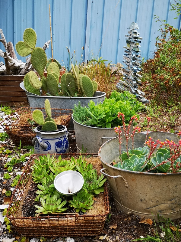 Jardin rien de neuf 0 plastique