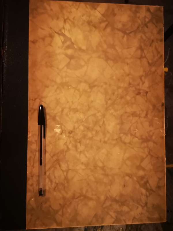 L'histoire de la locomotive terrestre