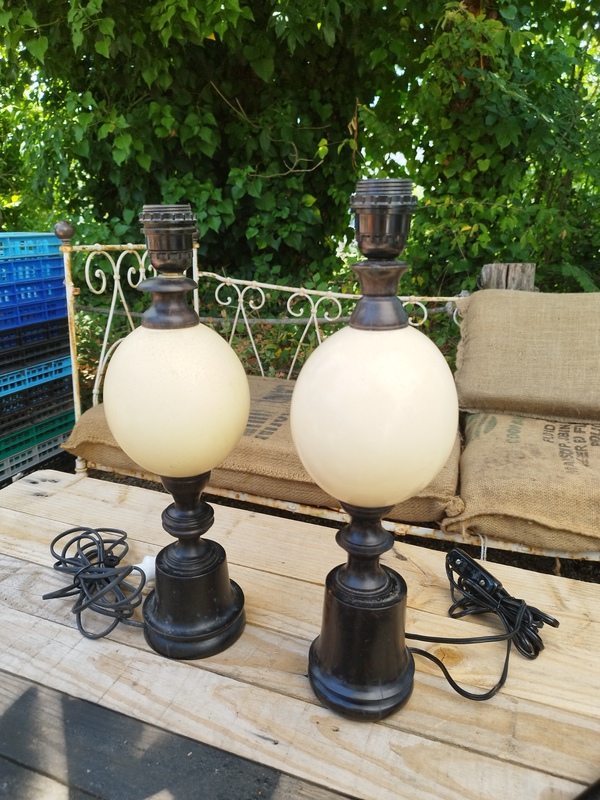 Lampe oeuf d'autruche début XXe 