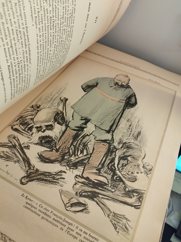 Les origines de la guerre dessins Raemaekers