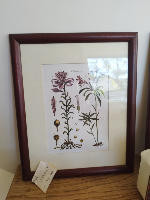 lot de quatre cadres vintage fleurs gravure