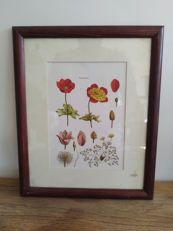 lot de quatre cadres vintage fleurs gravure