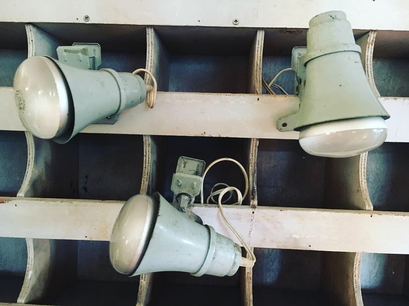 Lot de spots vintage philips 