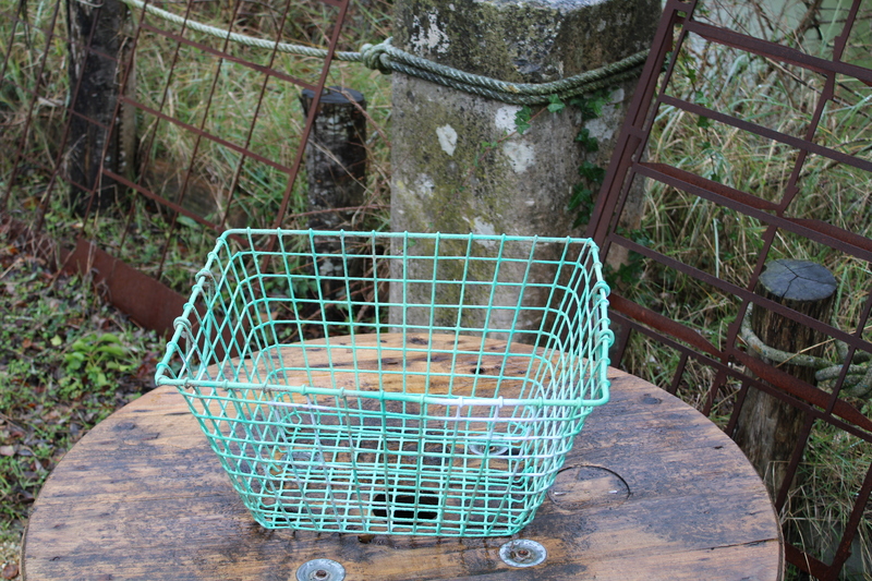 Mane d'huitres peinte 