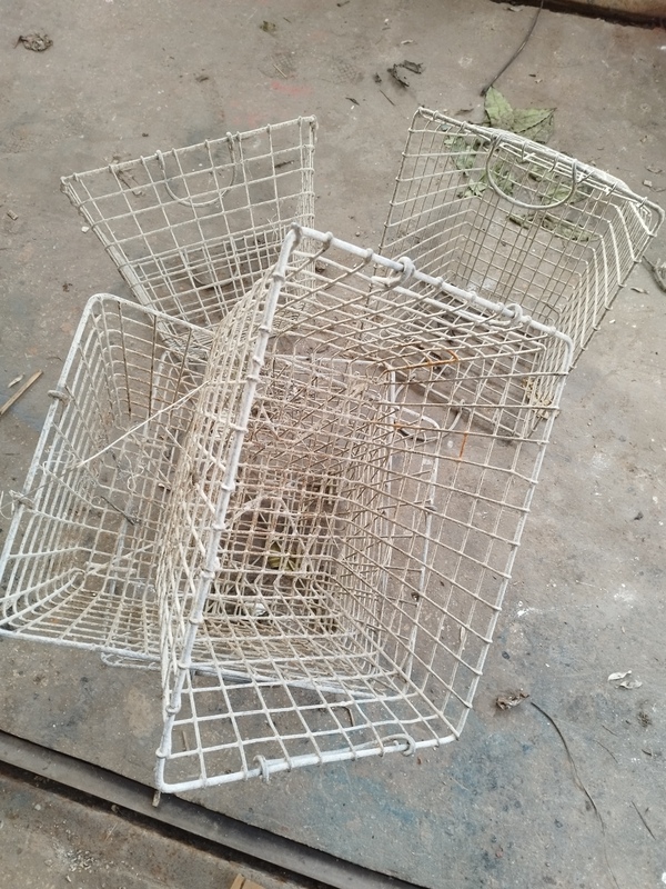 Mânes d'huitres anciennes galvanisées