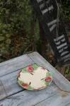 Assiette XIXe BR Choisy le Roi