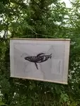 Bic sur cartes marines anciennes Tommy Bim