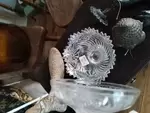 Bonbonnière
