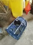 Casier à homards