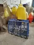 Casier à homards