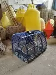 Casier à homards