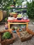 Déco jardin rien de neuf