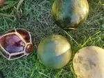 Lot de boules de filets en verre