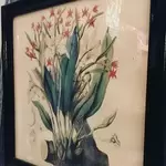 Lot de six cadres gravures plantes