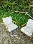 Paire de fauteuils Thonet Boomerang 