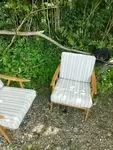 Paire de fauteuils Thonet Boomerang 