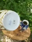 Paire de vases art déco Camille Tharaud 