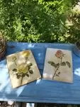 Peinture sur bois Roses