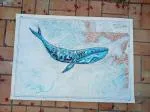 Peinture sur carte marine années 60 