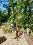 Porte manteaux perroquet début XXe 