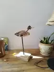 Sculpture oiseau bois flotté et bois