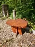 Table basse orme massif
