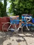 Vélo Peugeot Reynolds 501