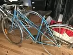 Vélos vintage 