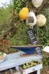 Voilier de bassin ancien XXe 